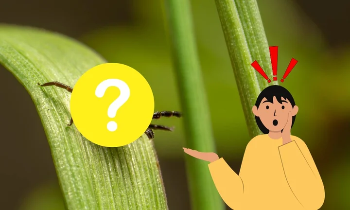 Obraz do artykułu: One już się budzą. Sezon zagrożenia właśnie się zaczyna