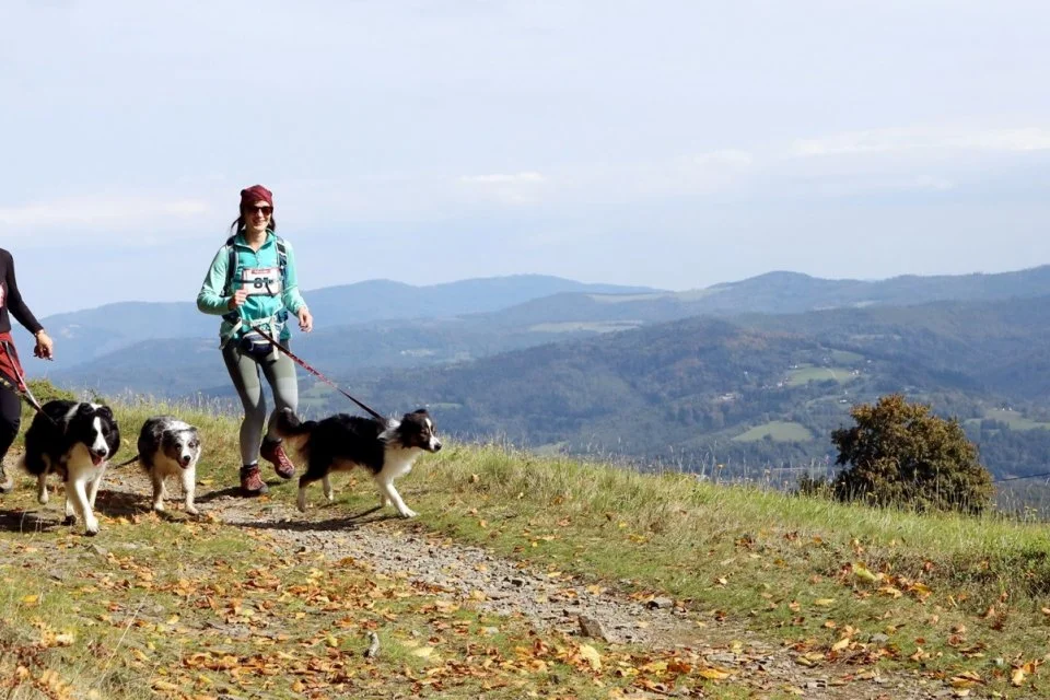 Grafika promocyjna wydarzenia Puchar Polski w Dogtrekkingu