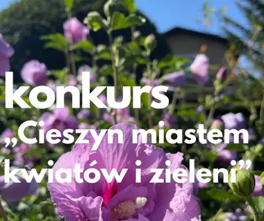 Nie tylko ogrody. Jesienny konkurs zieleni obejmie także balkony