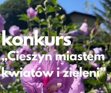 Cieszyn znów szuka najpiękniejszych ogrodów. Rusza 54. konkurs zieleni