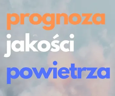 GIOŚ ostrzega przed benzo(a)pirenem w powiecie cieszyńskim
