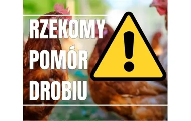 Dwie strefy w powiecie cieszyńskim. Pomór drobiu wymusił nowe zasady