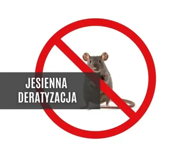 Jesienna deratyzacja w Skoczowie obejmie wszystkie budynki