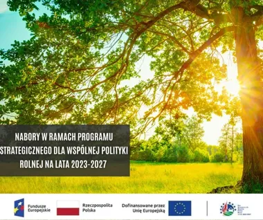 Cztery nabory w Cieszyńskiej Krainie. Wsparcie na infrastrukturę i edukację