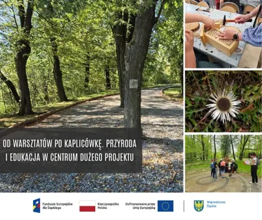 Na Kaplicówce posadzono 4000 drzew. Ścieżki pozostaną bez asfaltu