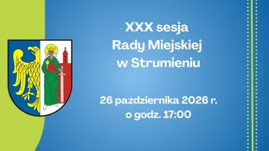 Budżet, droga i działka w Drogomyślu. Radni spotkają się na sesji