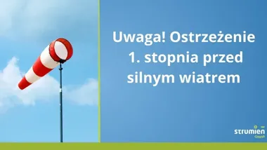 IMGW ostrzega przed silnym wiatrem. Porywy do 75 km/h na Śląsku