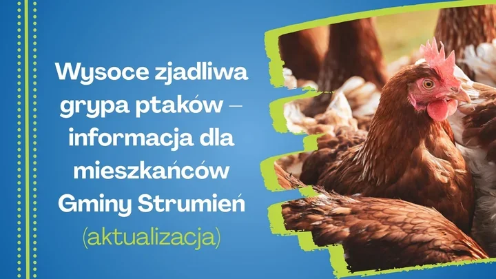 W Strumieniu obowiązują strefy zapowietrzenia i zagrożenia z powodu ptasiej grypy