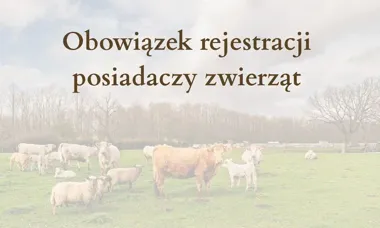 Weterynaria przypomina o obowiązku zgłoszeń. Bezpłatny termin trwa
