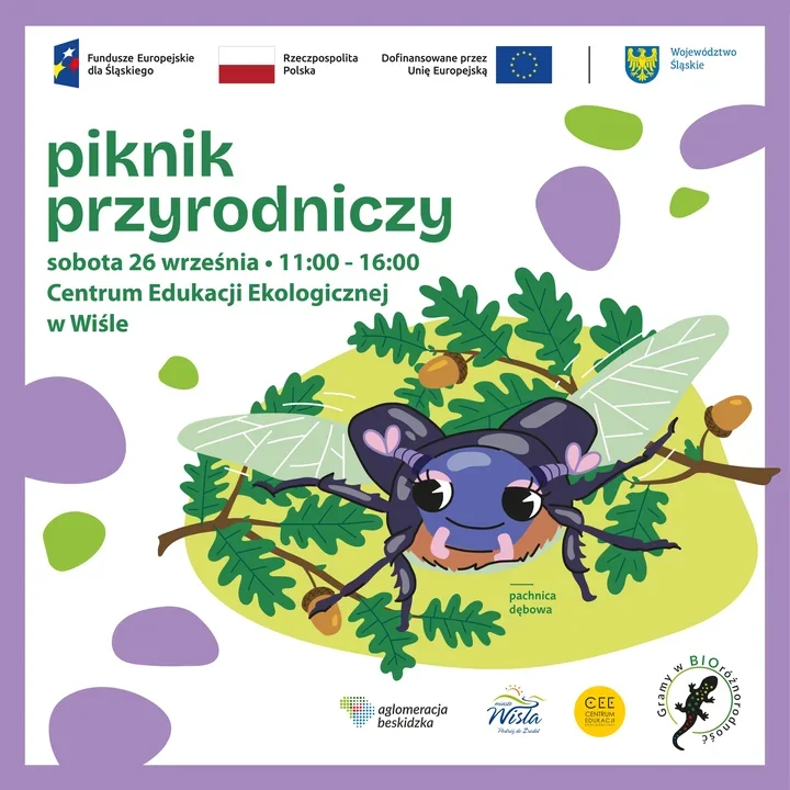 Darmowy piknik przyrodniczy w Wiśle. Program pełen tropów i owadów